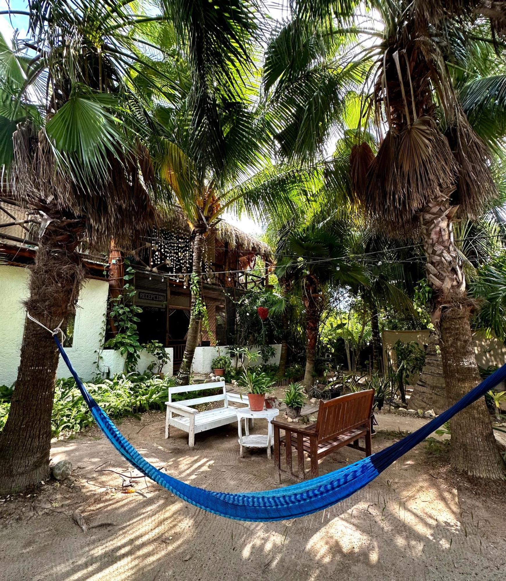 Sirenas Caribbean Rooms Holbox Luaran gambar