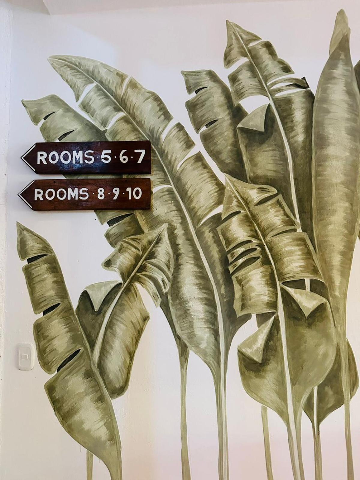 Sirenas Caribbean Rooms Holbox Luaran gambar